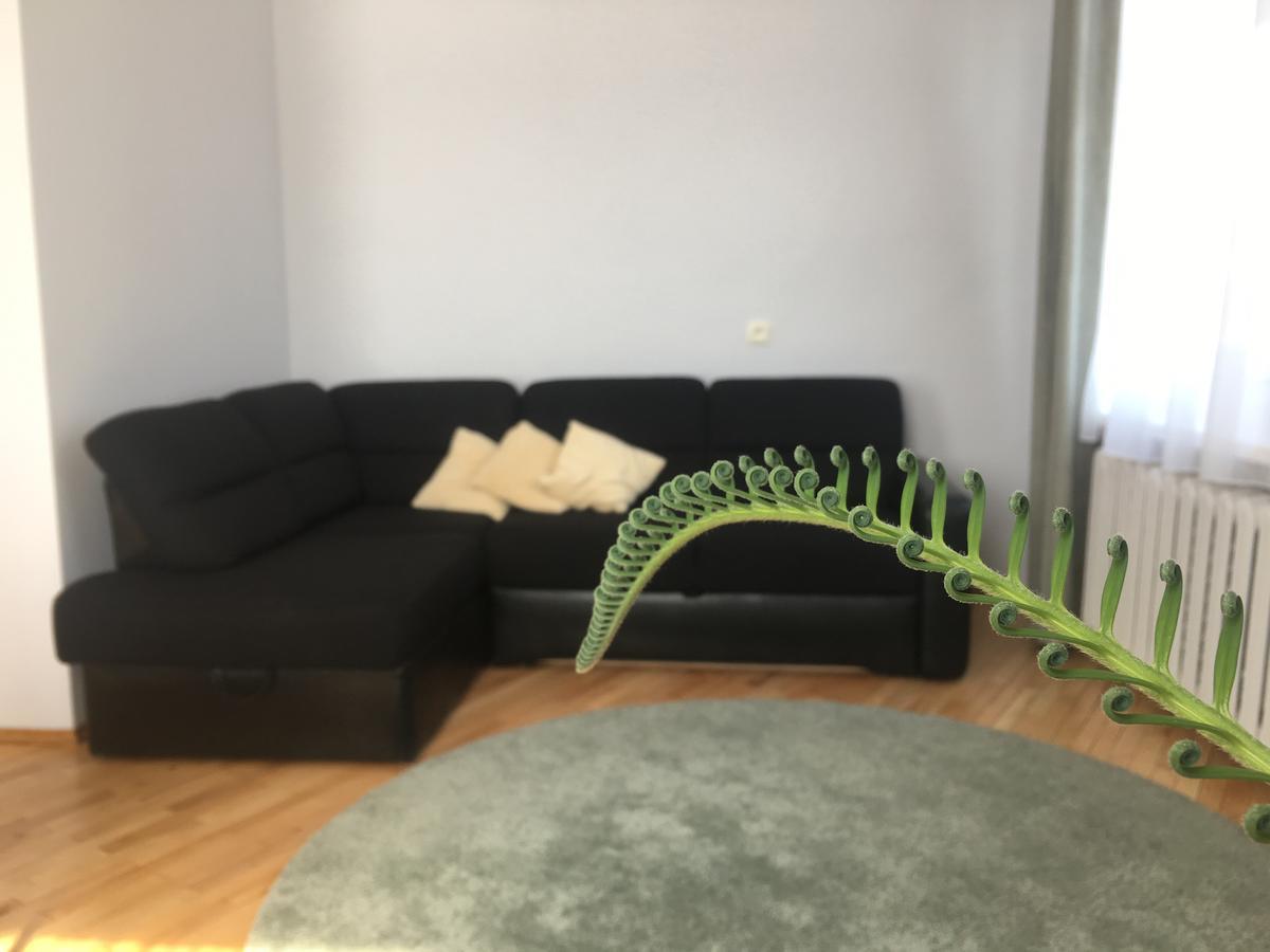 דרוסקינינקאי Apartamentai Eurista מראה חיצוני תמונה